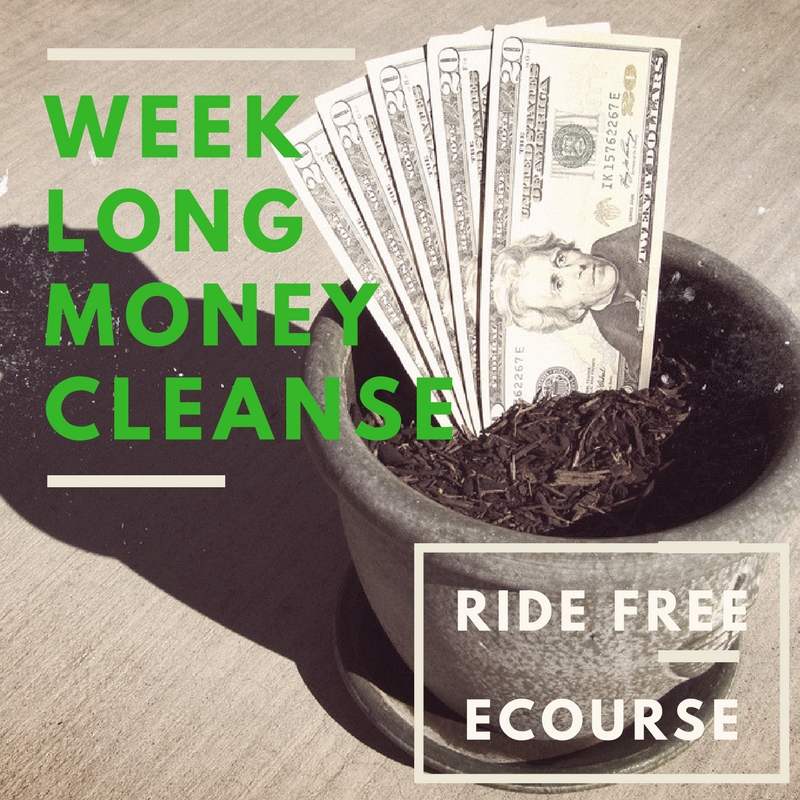 Want more? Free Money Cleanse eCourse - sign on up!